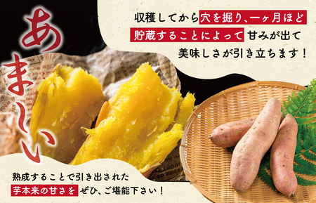 北山さんちのさつまいも 安納芋 7kg さつまいも サツマイモ 薩摩芋 いも 芋 ほくほく 産地直送 新鮮 野菜 季節の野菜 旬 直送