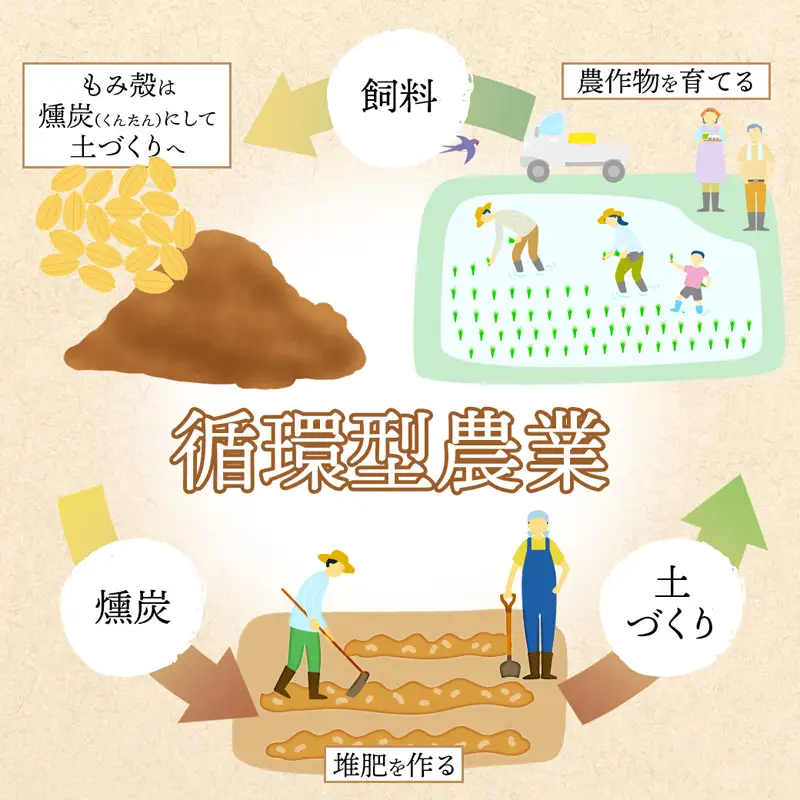 【令和7年度産】 コシヒカリ 5kg 精米 白米 こしひかり お米