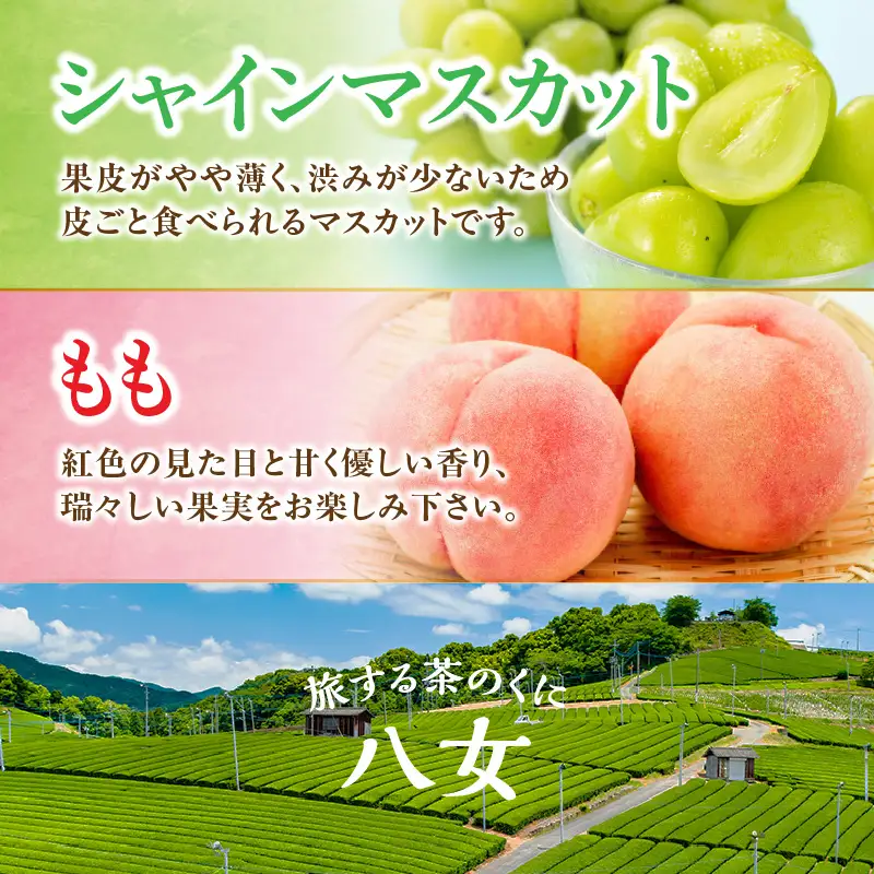 九州・福岡フルーツ王国八女　お試し旬のフルーツ定期便【全２回】 F＜配送不可：北海道・沖縄・離島＞ 桃 シャインマスカット もも 果物 先行予約 旬のフルーツ 詰め合わせ 福岡県 お取り寄せ 八女市 072-T019
