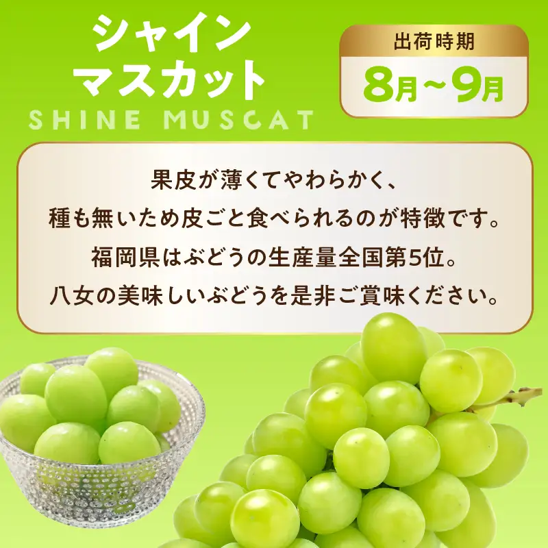 博多和牛と旬のフルーツが届く！九州福岡バリうま定期便【全2回】B ＜配送不可：北海道・沖縄・離島＞ フルーツ 定期便 博多和牛 牛肉 牛 切り落とし シャインマスカット 季節のフルーツ 果物 おすすめ セット 産地直送 福岡県 八女市 072-T023