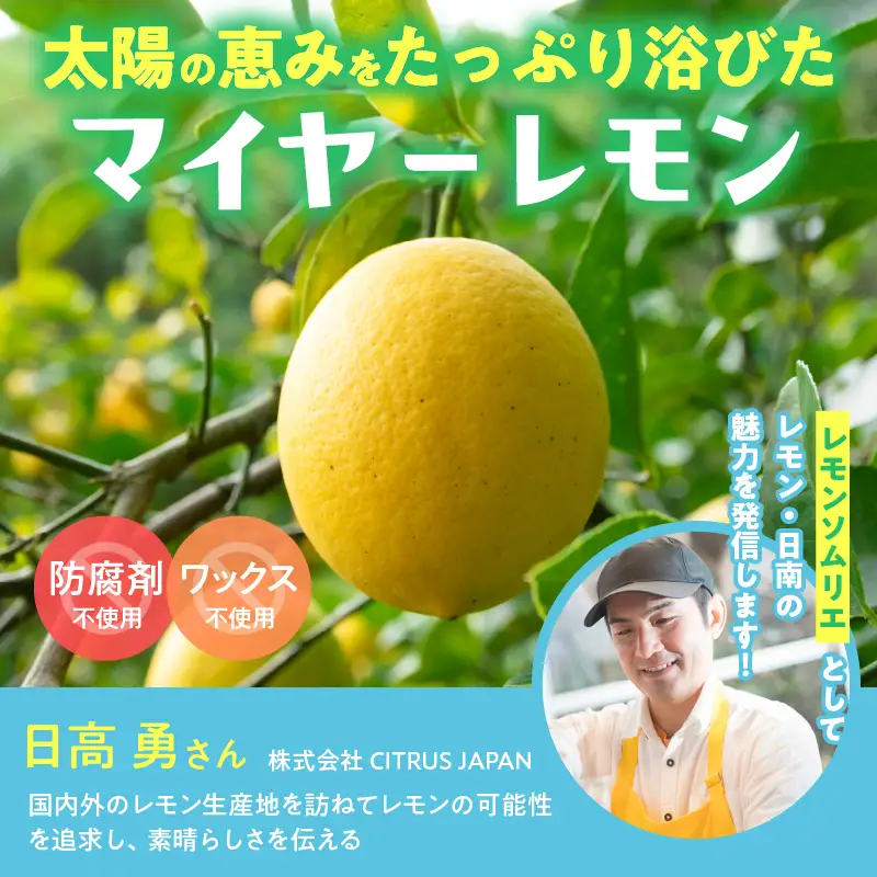 レモンピール 計450g_BC96-24