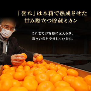 【2027年3月上旬より順次発送】三ケ日みかん「誉れ」 約4kg