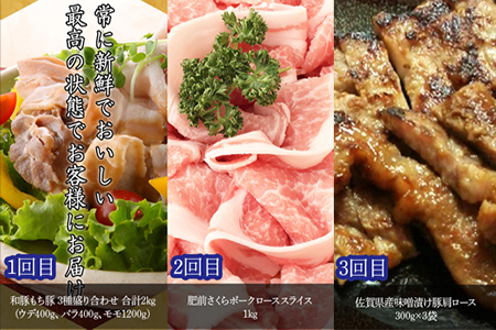 「全6回定期便」豚肉定期便 和豚もち豚 肥前さくらポーク ロース スライス セット