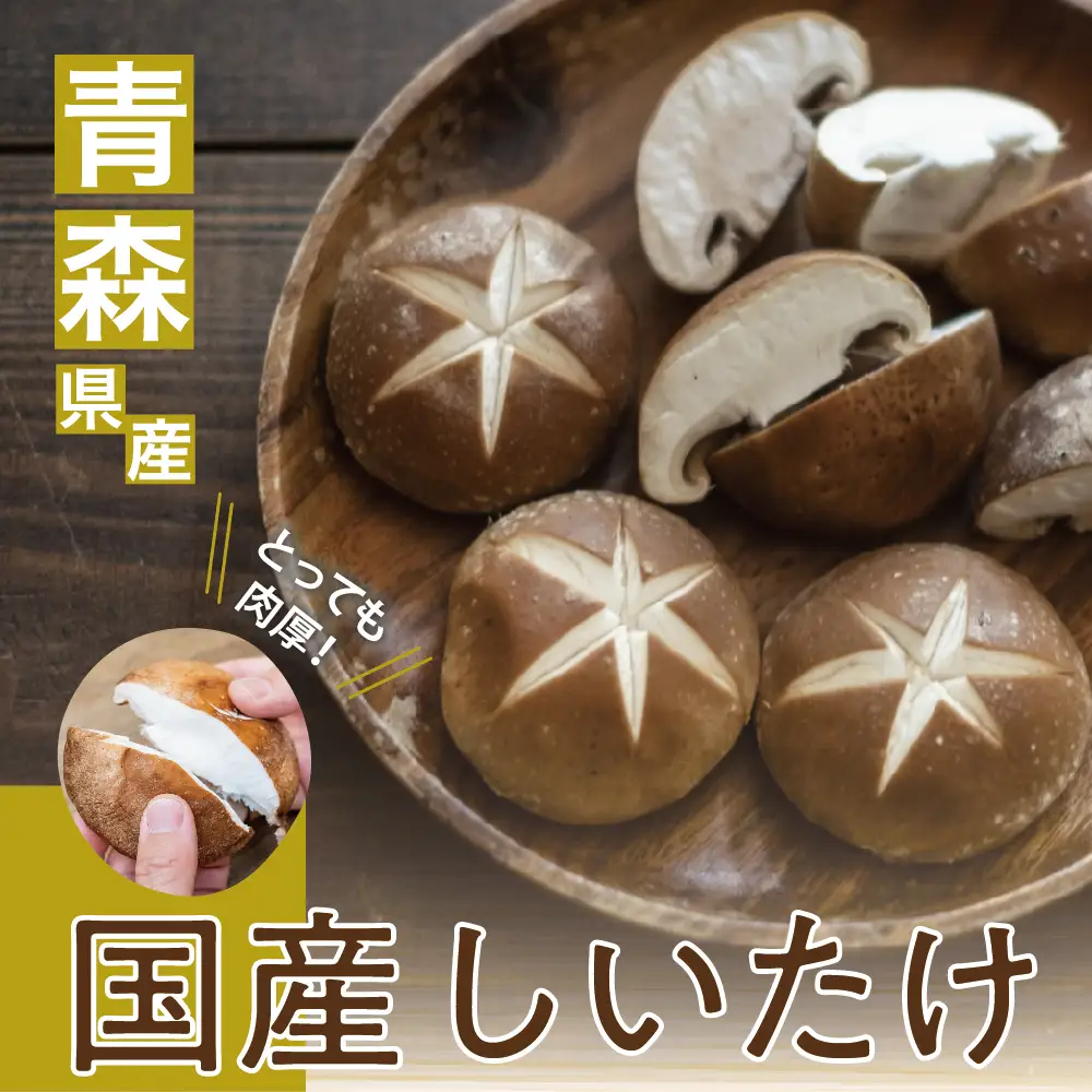 しいたけ 2kg 国産 肉厚 青森 きのこ