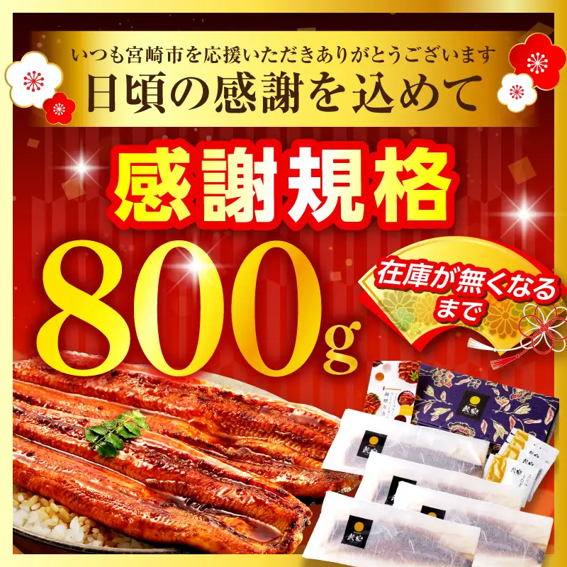 うなぎ 蒲焼 4尾 うなぎ [鰻 九州産 国産 合計800g以上]