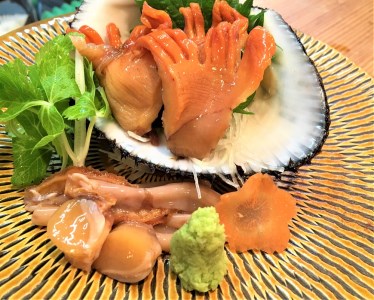 ★自宅de貝づくし★赤貝・ヒメ貝・べっぴんさざえ・瀬戸貝★周防大島の冬の貝４種詰め合わせ！【先行受付開始！2027年2月6日以降のお届け】