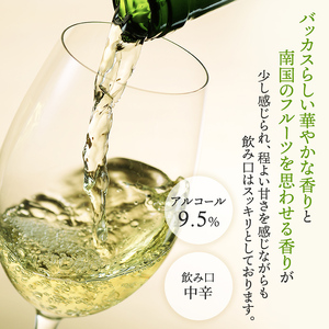 NIKI Hills Winery 白ワイン【 NEIRO 2025 】 750ml ワイン 洋酒 お酒 アルコール ブドウ ぶどう セミドライ[株式会社NIKI Hillsヴィレッジ]