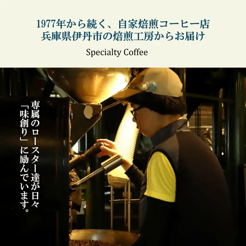 ヒロコーヒー コーヒー(粉) お楽しみ 3回 定期便 珈琲 粉