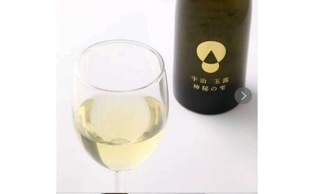 玉露 ボトリングティー 500ml 品評会 高級 玉露