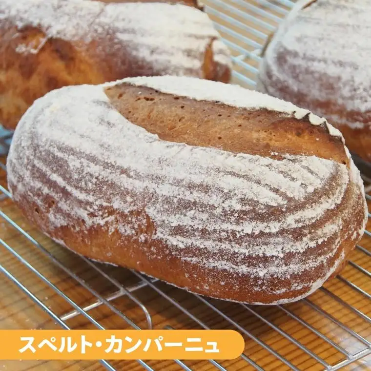 古代小麦使用！シンプルパンの５種詰め合わせ （BB001）