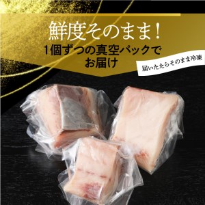 大和ブリの切り身たっぷり約１.２㎏ N072-YB1109