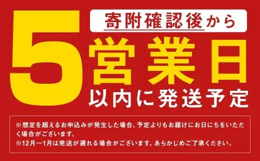 みろくや 具材付き 冷凍 皿うどん 詰合せ 4食 【MR4】