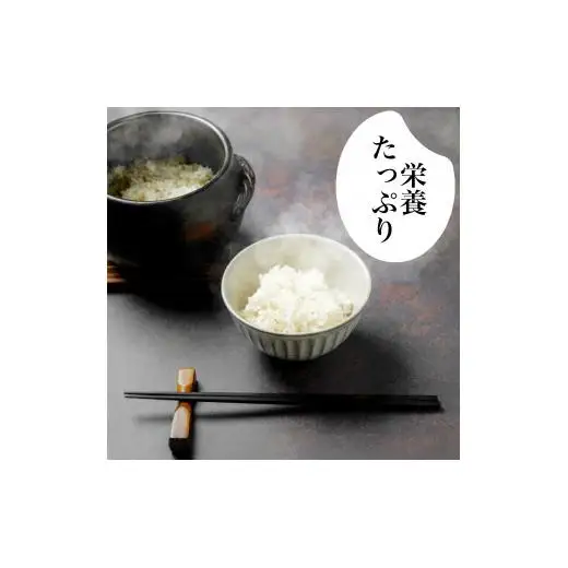 R8年産 新米 こしひかり 10kg 