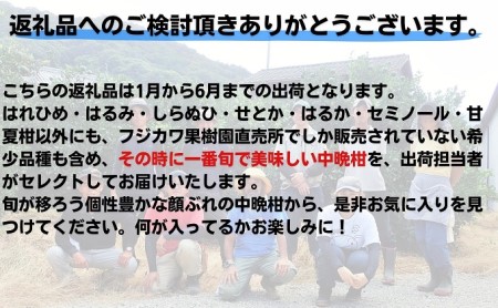 フジカワ果樹園スタッフの目利きセレクト！彩り中晩柑　約3kg 果物類 みかん 柑橘類 フルーツ