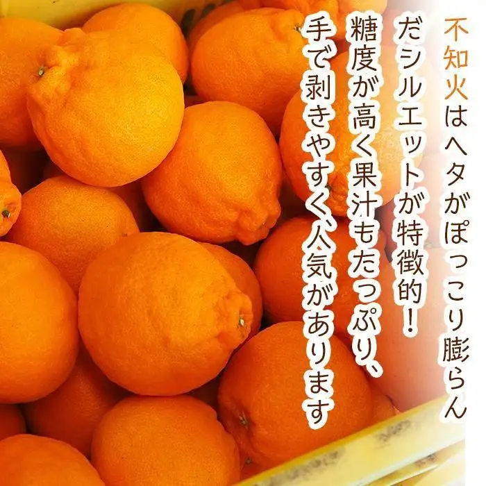 旬の柑橘詰め合わせ（約3kg）2027年3月上旬〜発送予定