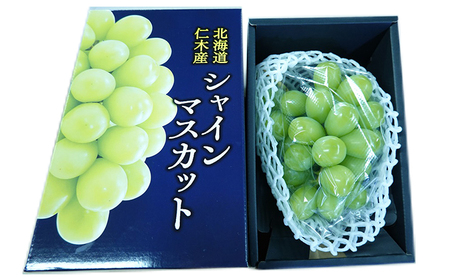 シャインマスカットぶどう厳選品松山商店 北海道産 シャインマスカット【1房500g以上】