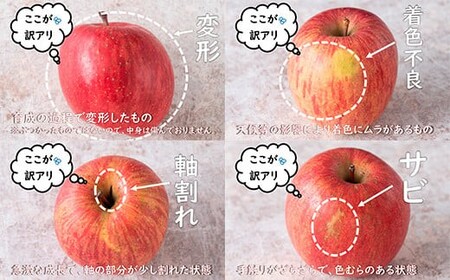 〈訳あり ちょっと規格外〉 完熟みつ入りふじりんご 約4kg ＆ ふじりんごストレートジュース 1本 セット 《令和8年12月中旬～発送》 【全国りんご選手権 銀賞】 『船中農園』 林檎 リンゴ 山形県 南陽市 [1404]