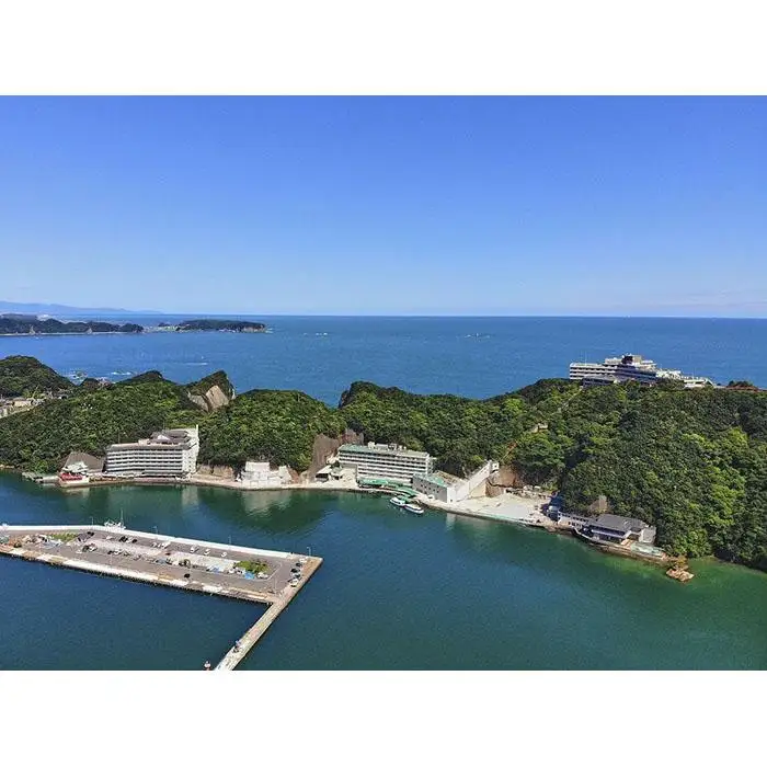 ホテル浦島　日昇館ペア宿泊券