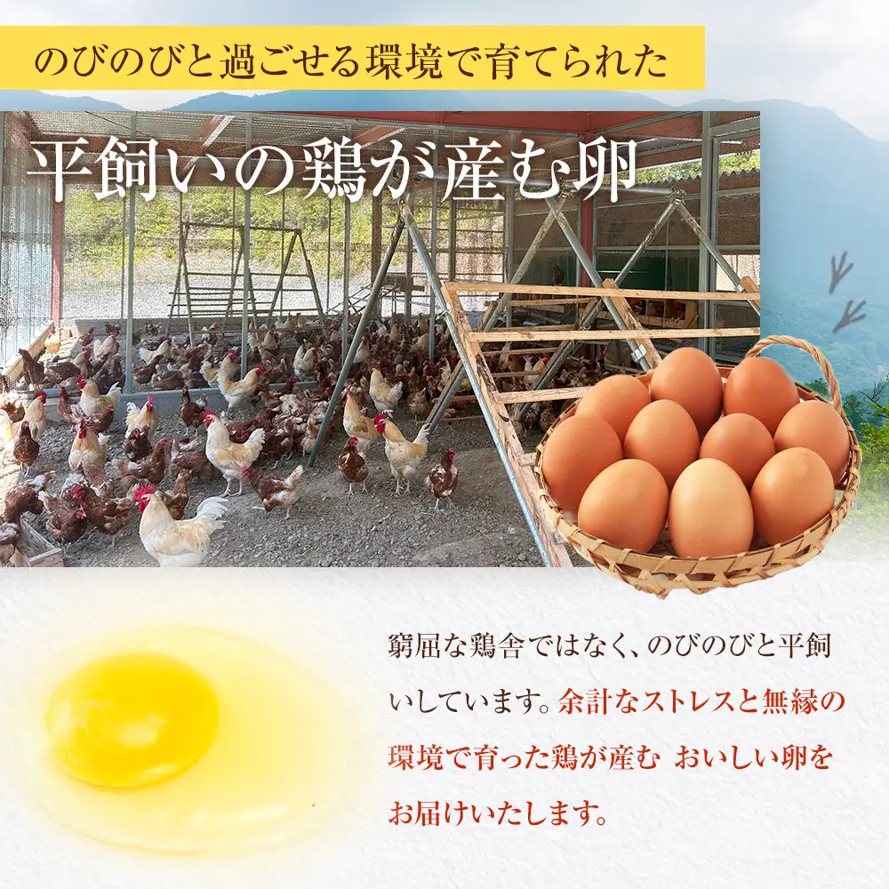 国産飼料にこだわった鶏が産む安全安心の『レモン色たまご』30玉（25玉＋割れ保証5玉）［Hn1］