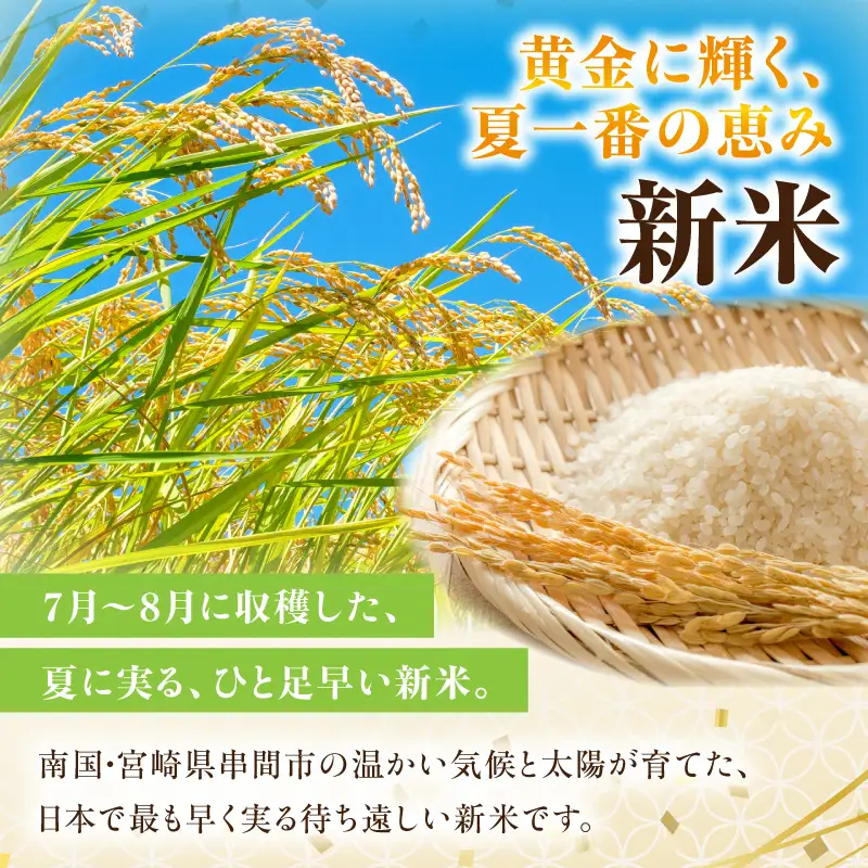 令和8年産 串間産のお米「 夏の笑み 」（10kg）_K025-002-R8