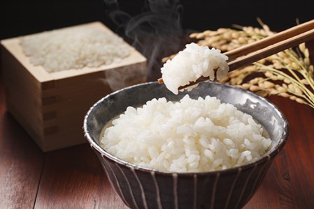 佐賀県産ゆめしずく（特A） 白米4.5kgと玄米５kg 015-B753