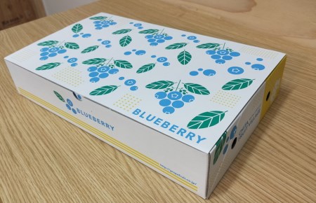 【2027年先行予約】採れたて！大粒系ブルーベリー　100g×6パック ※2027年5月上旬?7月上旬頃に順次発送予定