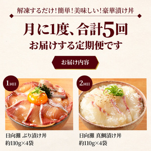 お魚の漬け丼バラエティ5回 定期便 海鮮 漬け丼 セット ぶり 真鯛 かんぱち まぐろ サーモン 流水解凍 海鮮丼 簡単 便利 小分け 個包装 刻み海苔 日向灘 九州 宮崎県 延岡市 冷凍 お取り寄せ N019-YE097