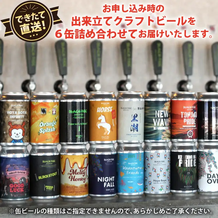 6回 定期便 BTB クラフトビール 6缶 セット【総計36缶】 