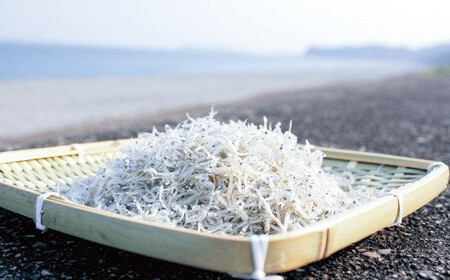 ちりめんのセット 王子丸セットB（上乾ちりめん250g+ちりめん佃煮400g）  / シラス しらす ちりめん 佃煮 上乾【ojs002A-2】
