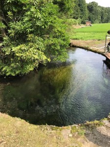 富士山の湧き水に抱かれた「ごてんば農家民宿村」の家族宿泊券