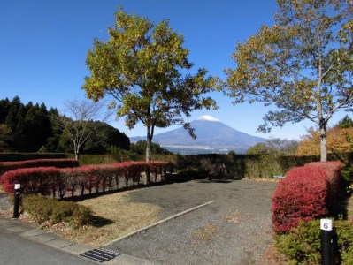 乙女森林公園第２キャンプ場宿泊券（テントサイト：5名） | 宿泊券 利用券 旅行券