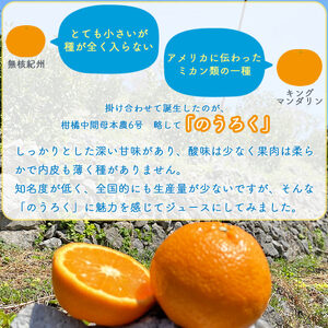 愛媛県明浜産 まぼろしの柑橘「のうろく」ストレートジュース ３本セット AKN0001