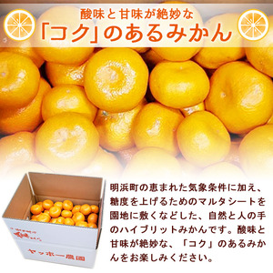 【先行予約】＜産地直送！愛媛県明浜町産 温州みかん 約8kg＞ ※2026年11月中旬～2027年1月中旬頃迄に順次出荷予定ミカン 蜜柑 柑橘類 フルーツ 果物 甘い おいしい おすそ分け ギフト 贈答 特産品 季節限定 期間限定 旬 宇都宮農園 愛媛県 西予市【常温】 AUN0001