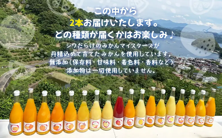 ＜一歩会 ジュエリーボックス ジュース飲み比べセット 720ml×2本入り（果汁100%ストレートジュース）愛媛 みかん＞ ミカン 柑橘 果物 フルーツ 特産品 渡江から一歩を踏み出す会 飲んで応援 愛媛県 西予市【常温】『令和8年5月より順次出荷予定』ATI0002