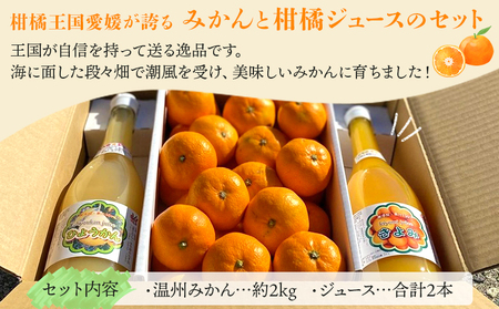 「柑橘王国セット」みかん×みかんジュース ATI0018