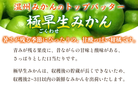 先行予約＜愛媛県産 極早生みかん 約10kg ご家庭用＞ 温州みかん 家庭用 訳あり 果物 ミカン 柑橘 フルーツ 選べる 食べて応援 特産品 段畑みかん 愛媛県 西予市【常温】『2026年9月中旬～10月中旬迄に順次出荷予定』 ADM0010