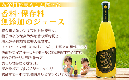 ＜黄金柑ジュース 720ｍ×2本セット＞ 果汁100％ ストレート ジュース おうごんかん 柑橘 ミカン 蜜柑 みかん オレンジ 果物 フルーツ 飲料 無添加 ギフト 贈り物 特産品 二ノ宮商事株式会社 愛媛県 西予市【常温】『2026年3月下旬から順次出荷予定』ANS0006