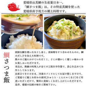 愛媛県 鯛さつま飯（８袋） UMN0010