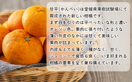 【先行予約】＜見た目は悪いが味は絶品 無茶々園の甘平 約3kg（15玉前後）＞果物 かんぺい みかん 蜜柑 柑橘 フルーツ 期間限定 季節限定 数量限定 無茶々園 特産品 愛媛県 西予市【常温】『2027年2月上旬頃から順次出荷予定』AMC0013