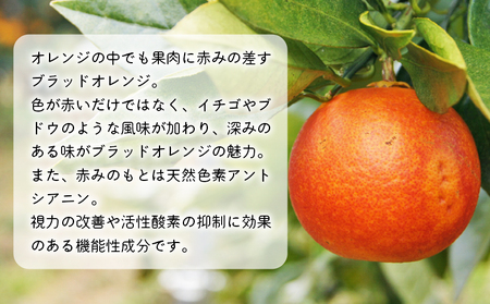 先行予約 ＜無茶々園のブラッドオレンジ 約3kg＞ フルーツ 果物 ぶらっとおれんじ みかん ミカン 蜜柑 柑橘 期間限定 季節限定 無茶々園 食べて応援 特産品 愛媛県 西予市【常温】『2027年3月に順次出荷予定』AMC0024
