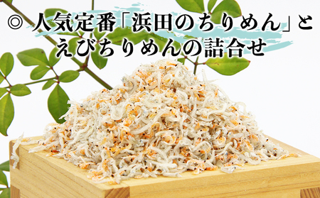 ＜老舗網元 えびちりめん詰め合わせ(合計840g)＞ちりめんじゃこ かたくちいわし カタクチイワシ 小魚 カルシウム 乾物 マルヨシ水産 特産品 愛媛県 西予市 【冷蔵】『1か月以内に順次出荷』 AMS0010