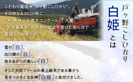 先行予約 令和7年産 白川郷 戸ヶ野のこしひかりプレミアム 白姫 2kg こだわりのお米 精米 コシヒカリ 岐阜県 飛騨 世界最高米 認定 農家 9000円 [S438]