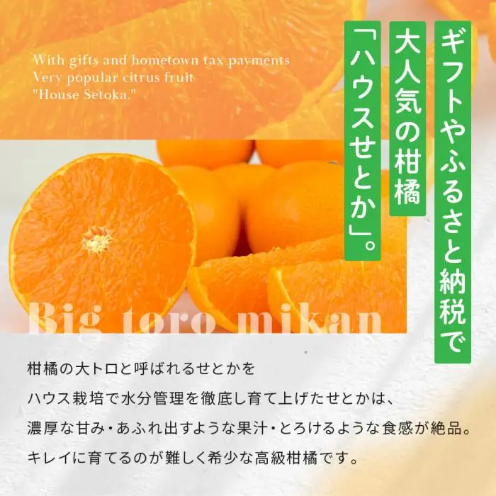 贈答用ハウスせとか化粧箱8玉～12玉｜瀬戸内産 せとか