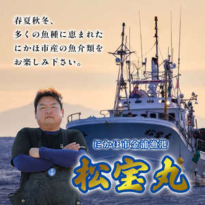 にかほ市の漁師厳選！秋田沖の旬のお魚パック！（Lサイズ・3～4人前） 魚介類 直送 新鮮 詰め合わせ 