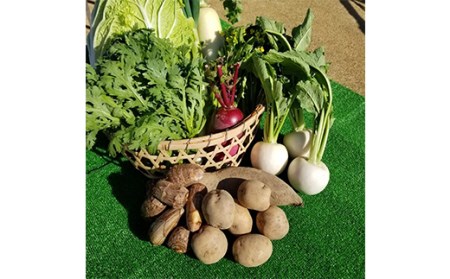 月舘町の農家さん自慢の新鮮厳選野菜セット F20C-517