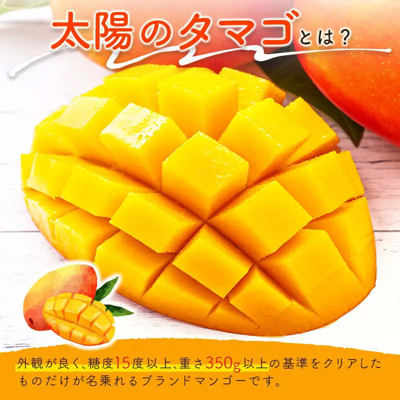 2027年出荷 宮崎 完熟マンゴー 太陽のタマゴ 2L×3玉 計1kg以上 E167-27