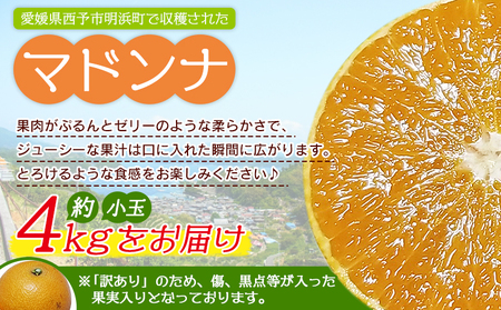 紅まどんなと同品種！＜訳あり マドンナ 約4kg（小玉） 浜のみかん屋直送＞ 明浜産 果物 フルーツ みかん オレンジ 柑橘類 愛媛果試第28号 ご家庭用 自宅用 食べて応援 特産品 産地直送 愛媛県 西予市【常温】『2024年12月上旬～12月中旬迄に順次出荷予定』AHM0004