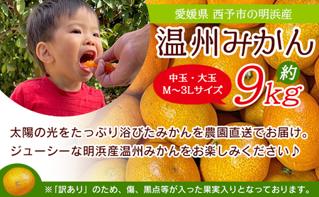 ＜訳あり 温州みかん 約9kg＞ 中玉 大玉 明浜産 果物 フルーツ 蜜柑 うんしゅうみかん ウンシュウミカン 柑橘 家庭用 浜のみかん屋 直送 愛媛県 西予市【常温】『2025年11月上旬～2026年2月上旬迄に順次出荷』AHM0005