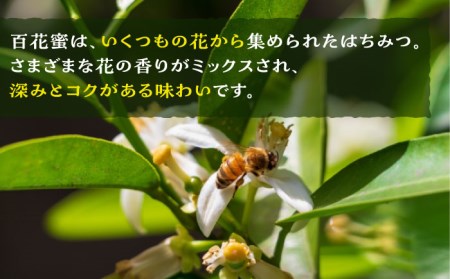 福岡 糸島産 生はちみつ ( 夏 の 百花蜜 450g ) 糸島市 / 糸島二丈サクランボ農園 [AKJ002]