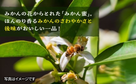 福岡 糸島産 生はちみつ ( みかん蜜 900g )  糸島市 / 糸島二丈サクランボ農園 [AKJ003]